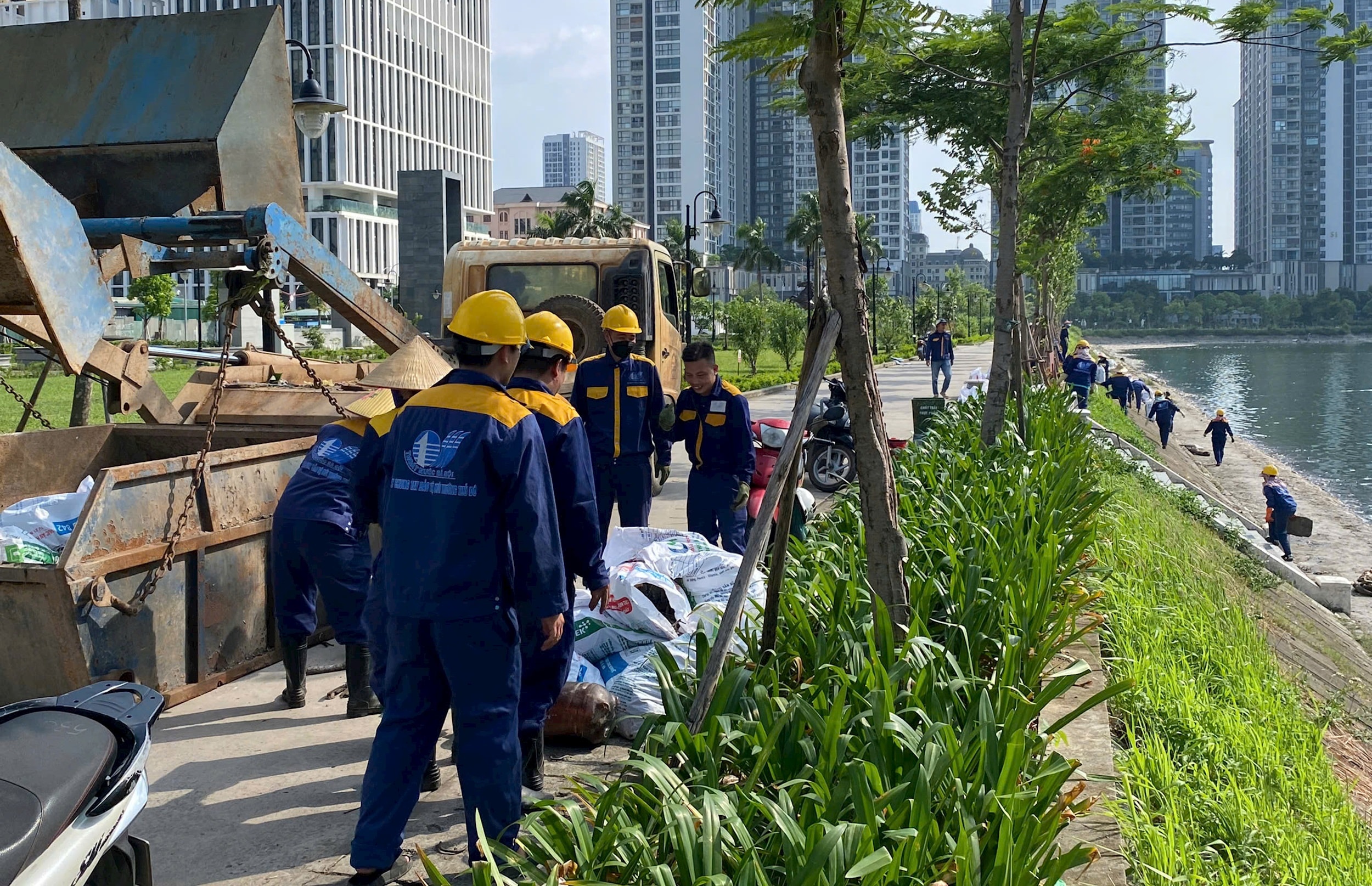 Cầu Giấy: Khẩn trương xử lý hiện tượng cá chết tại hồ công viên CV1