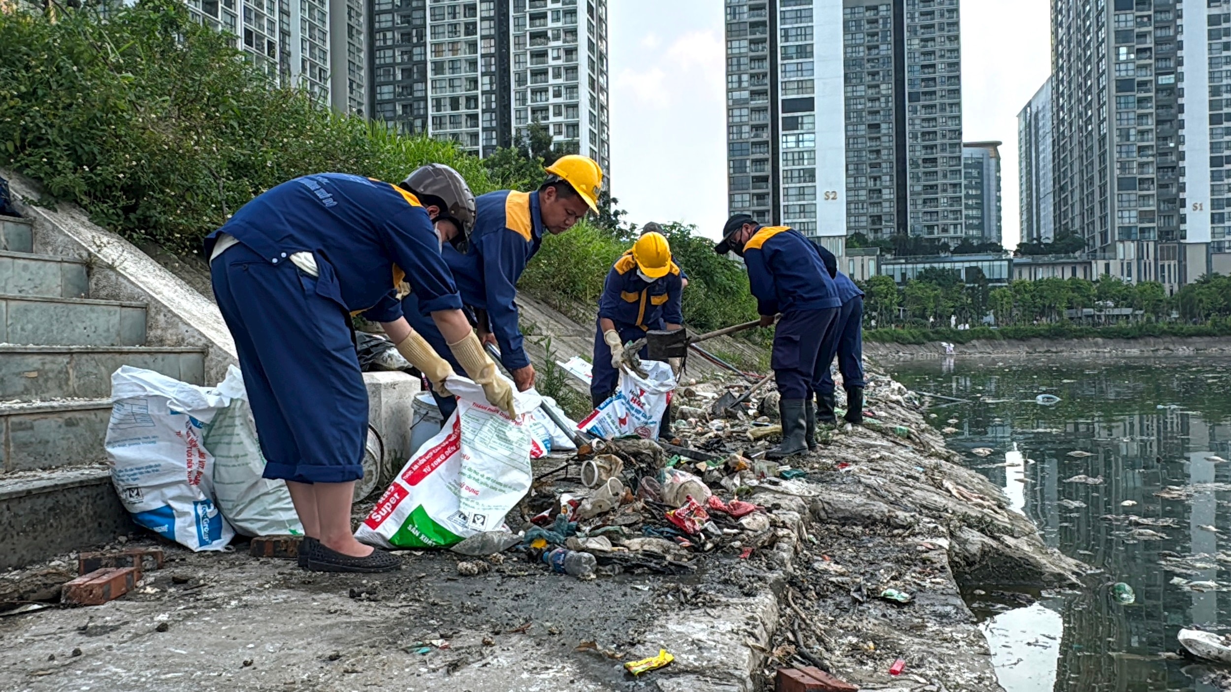 Cầu Giấy: Tổng lực "giải cứu" hồ Công viên CV1 khỏi sự cố cá chết dạt bờ