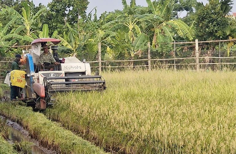 Tin tức đặc biệt trên ấn phẩm Hànộimới ngày 4-6-2026