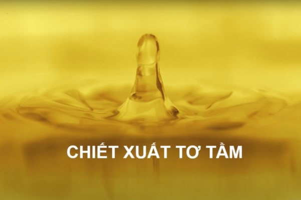 chiet-xuat-to-tam-bi-mat-duong-toc-tu-thien-nhien-trong-dau-goi-viora-1