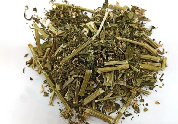 Ích mẫu là thuốc gì? Để làm gì?