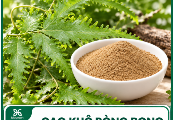 Mua cao khô bòng bong ở đâu?