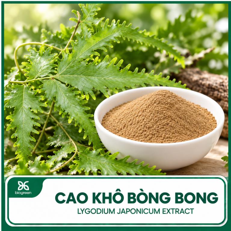 Mua cao khô bòng bong ở đâu?