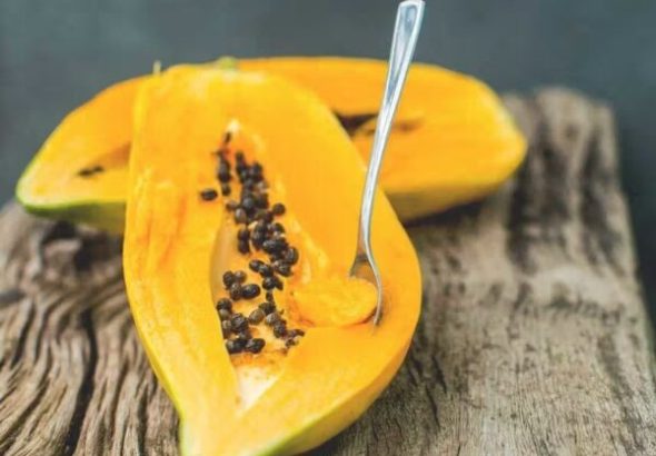 Papaya nghĩa là gì? Enzyme papaya là gì?